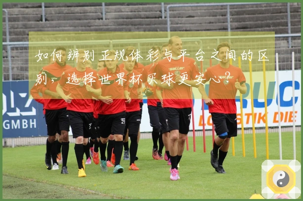 如何辨别正规体彩与平台之间的区别，选择世界杯买球更安心？