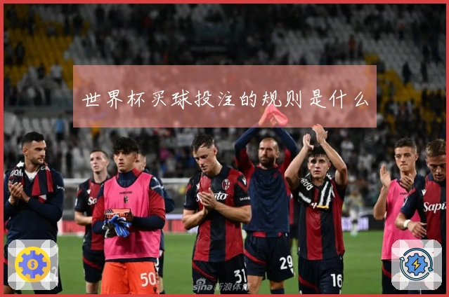 世界杯买球投注的规则是什么