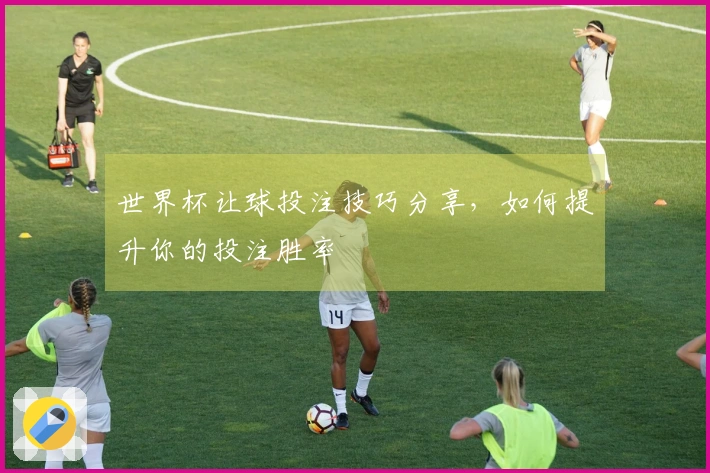 世界杯让球投注技巧分享，如何提升你的投注胜率
