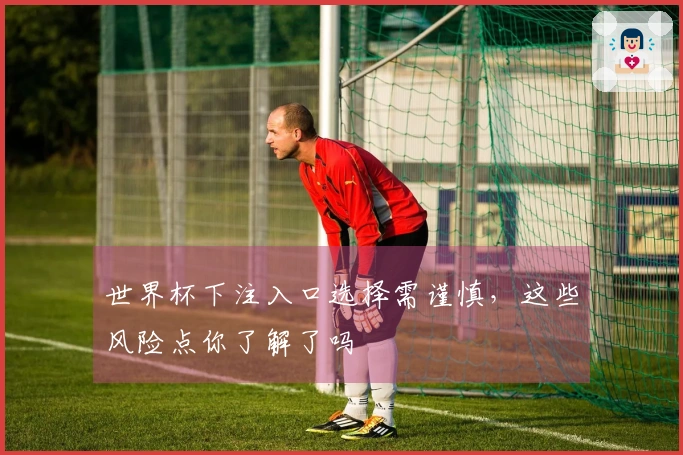 世界杯下注入口选择需谨慎，这些风险点你了解了吗