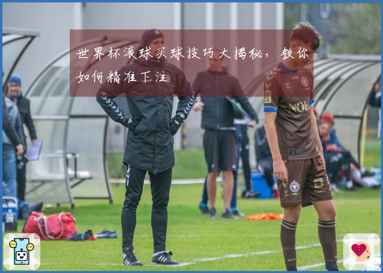 世界杯滚球买球技巧大揭秘，教你如何精准下注