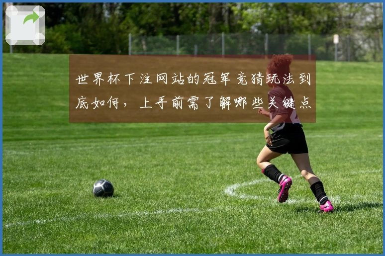 世界杯下注网站的冠军竞猜玩法到底如何，上手前需了解哪些关键点？