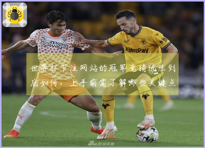 世界杯下注网站的冠军竞猜玩法到底如何，上手前需了解哪些关键点？