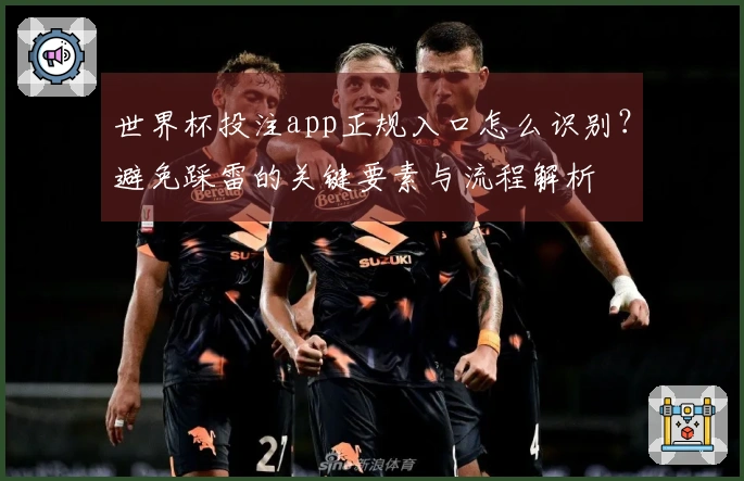 世界杯投注app正规入口怎么识别？避免踩雷的关键要素与流程解析