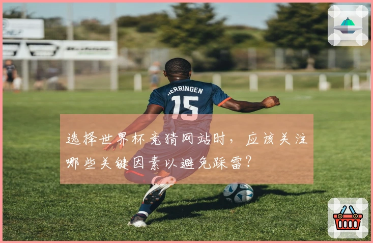 选择世界杯竞猜网站时，应该关注哪些关键因素以避免踩雷？