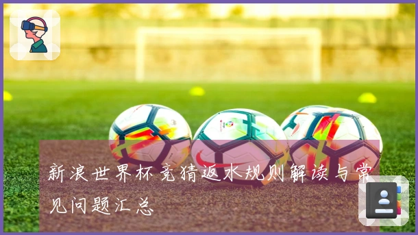 新浪世界杯竞猜返水规则解读与常见问题汇总